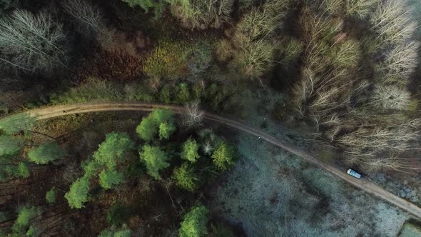 Forest road with a car parked in the side in aerial droneing shot. Early winter season.