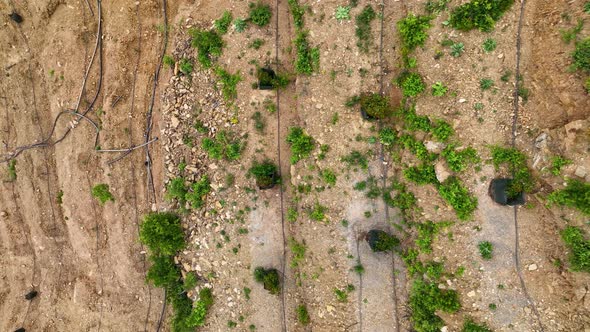 Farm Landscapes Background Texture 4 K Aerial View