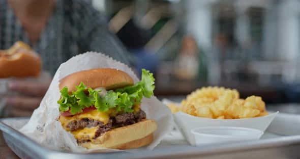 Fast Food Burger and French Fries 