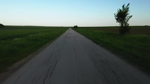 Empty Road with Potholes in the Fields With a Big Tree and Beautiful Blue Sky