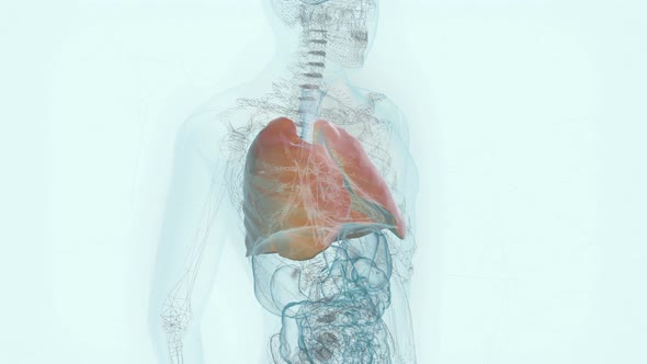 A Research Software is used for the Analysis of the Newest Covid Virus Stamm alt