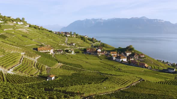 Flying low over vineyard and Aran village, Lavaux - SwitzerlandLake Leman and the Alps in the backg