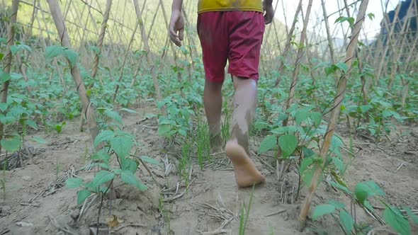 Boy's Feet Walking In Vegetables Garden alt