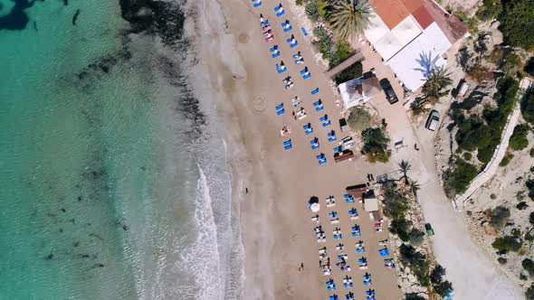 Top View of Sandy Beach on Shores of Crystal Clear Sea Equipped with Sun Loungers