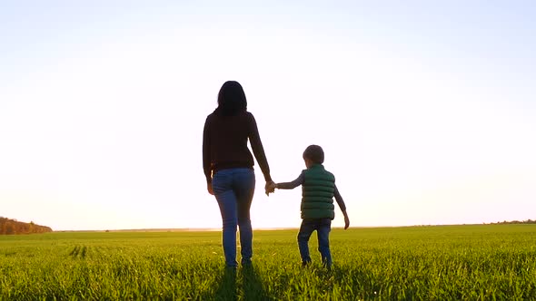 A Woman Holds the Hand of a Child, Walking on the Green Grass. A Happy Family Goes To Meet the Sun