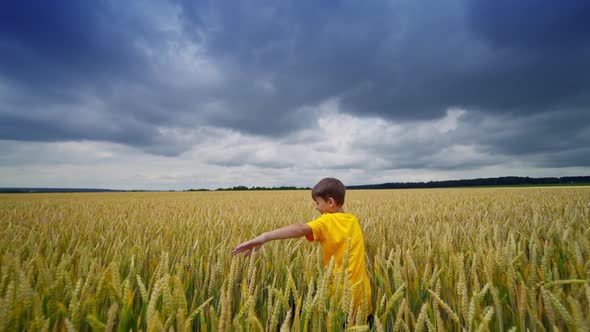 Little boy among agricultural land. Happy boy spinning around and hiding in farmland. Cute child on 