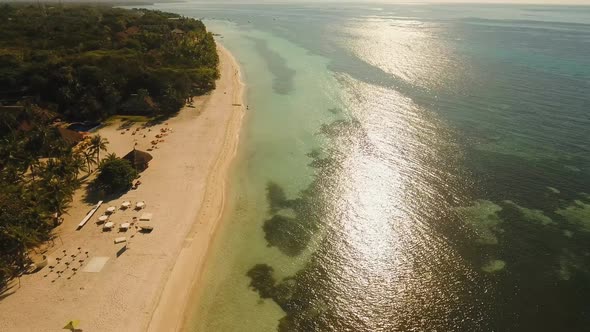 Tropical Beach and Turquoise Sea Philippines,Bohol