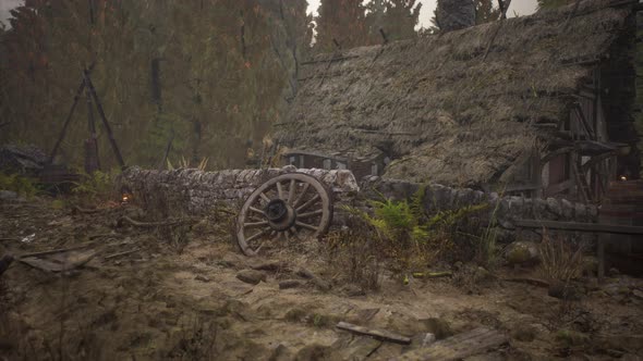 Russian Old Village on the Edge of the Forest is Destroyed