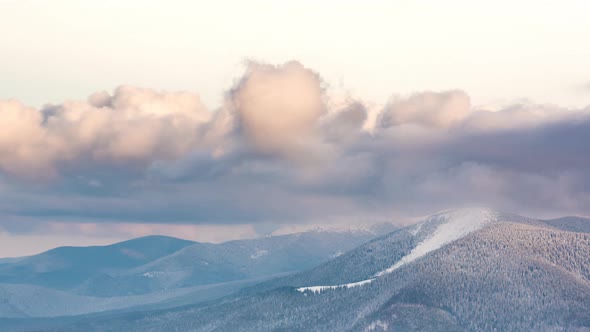 Beautiful Mountain Evening, Cloudy Winter Fir-tree