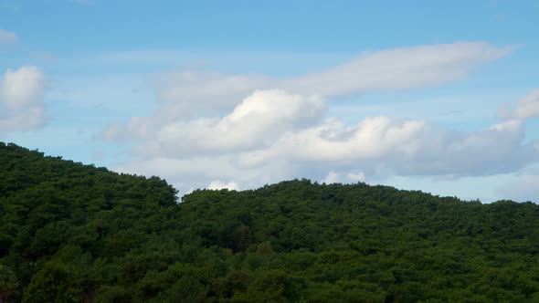 Forest And Clouds Time-Lapse 