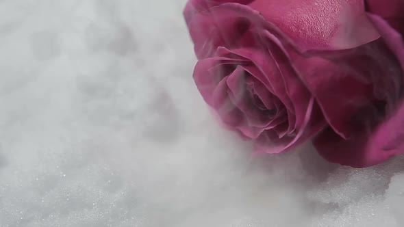 footage of flower smoke snow background