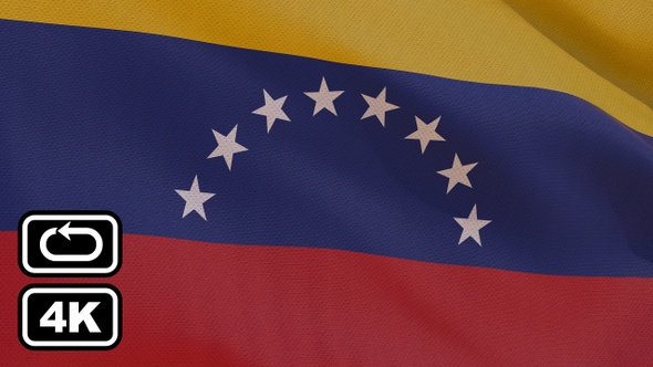 Venezuela Flag 4K Seamless Loop