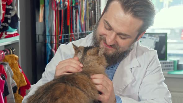 Cheerful Veterinarian Smiling Joyfully, Petting Adorable Cat at His Clinic