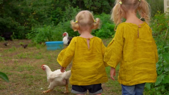 Back View of Two Little Girls Looking at the Chickens Walking in the Backyard