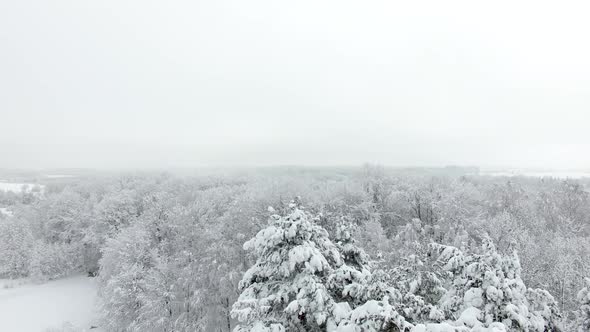 Aerial: Snow-covered countryside in deep winter