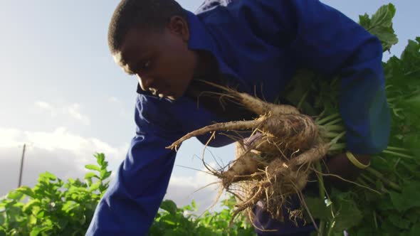 Young man working on farm