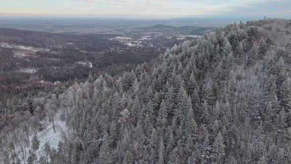 Aerial View of Forest Covered with Snow