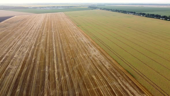 Aerial Drone View Flight Over Different Agricultural Fields Field After Harvest