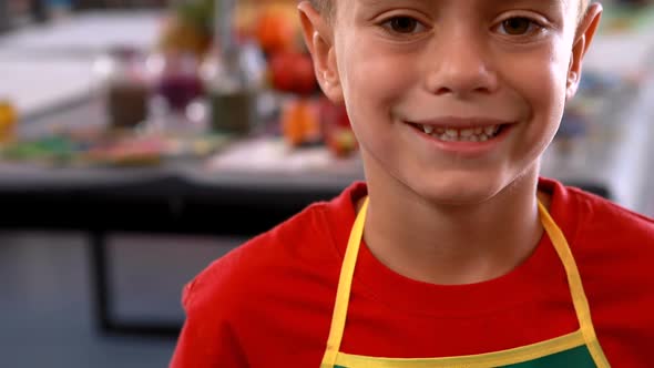 Portrait of schoolboy standing in apron