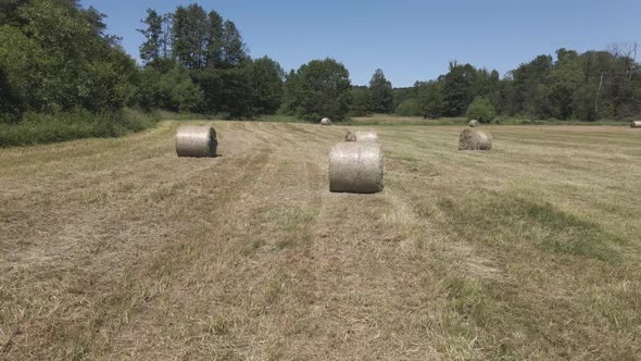 Many bales of hay on the field