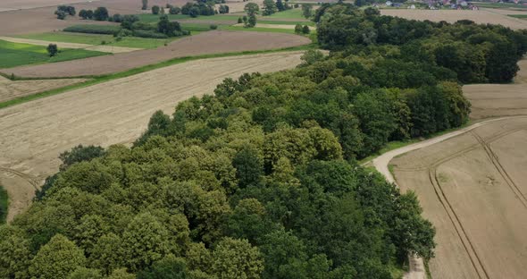 Aerial View of Farmland. Aerial View of Forest and Agriculture Fields