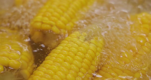 Corn Cobs in Boiling Hot Water