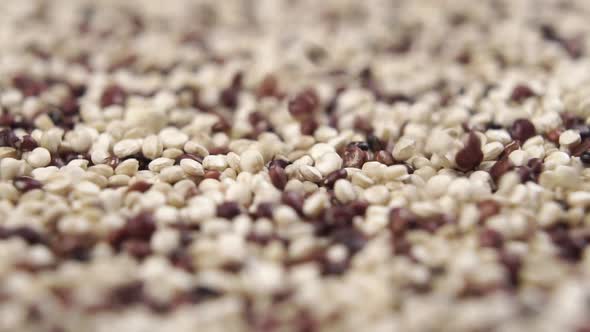 Quinoa seeds close up. Falling in slow motion