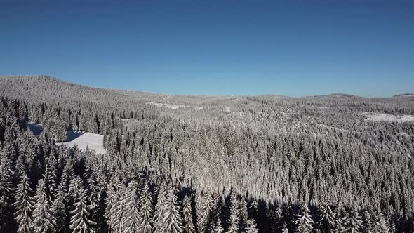 Mountain Landscape Early Morning Sunrise Holiday Travel And Tourism Frosty Tree, Aerial View, Drone