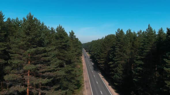 Descending Aerial Shot of Highway Going Through Magnifficent Pine Forest