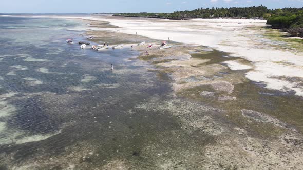 Shore of Zanzibar Island Tanzania at Low Tide