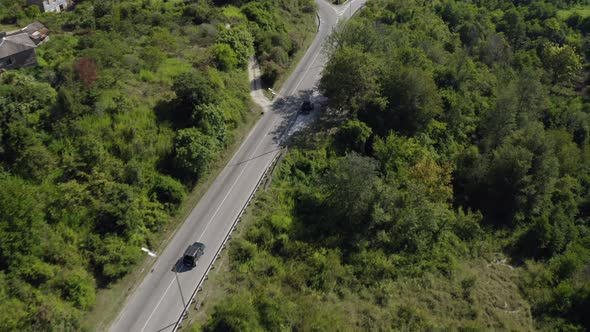 Automobile Drives Along Asphalt Road Among Forests to Sea