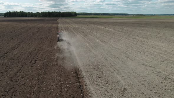 Hungry Birds are Flying Behind a Tractor with a Plow in Search of Food