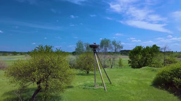 Stork's Nest In Countryside Area At Summer Day.