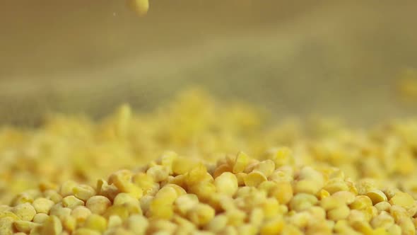 Dried Split Peas Dropping in Pile, Extreme Closeup, Agriculture Industry