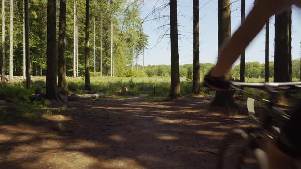 Mountain Bikers Riding Out Of Forest