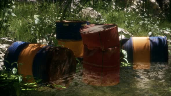 Rusty Barrels in Green Forest alt