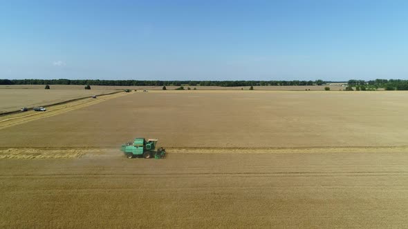 Aerial Drone Footage. Combine Harvester Gathers the Wheat. Harvesting Grain Field