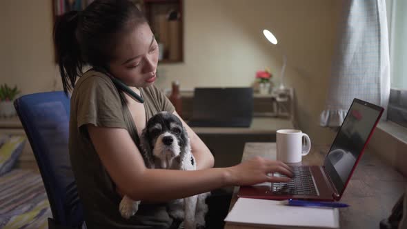 Busy Asian female entrepreneur working on laptop in home office