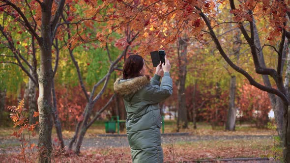 A girl in a down jacket takes pictures of autumn trees in the park on her smartphone.