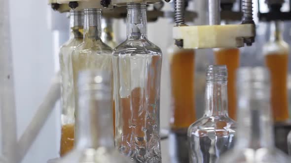 Production and Bottling of Alcoholic Beverages. Spill of Alcohol Liquor in Glass Bottles at