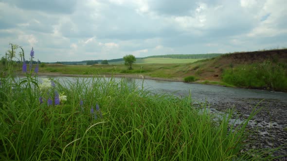 Clean River in Nature