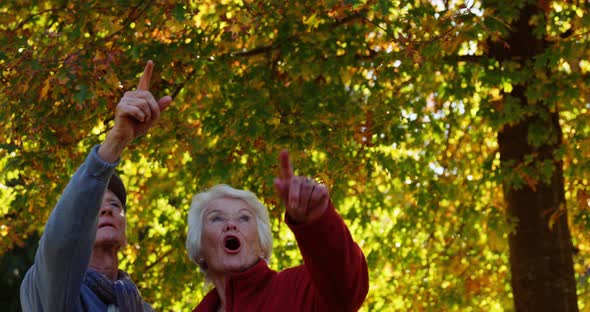 Elderly couple pointing