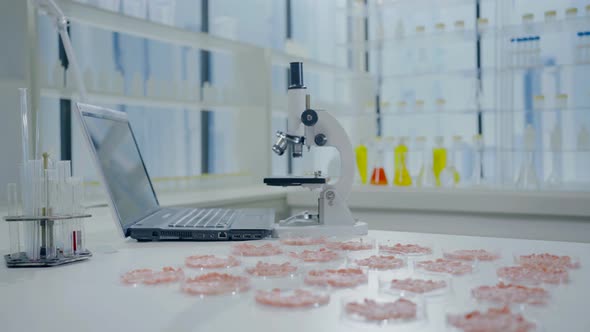 Artificial Cultured Meat on a Laboratory Table in Petri Dishes