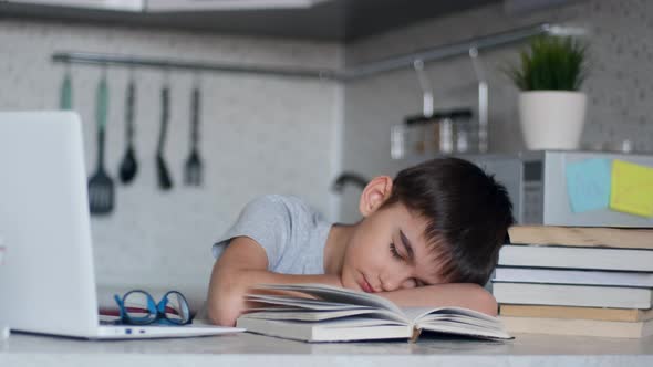 Tired Schoolboy Fell Asleep Doing Homework Sitting at a Desk Next To a Laptop and Textbooks