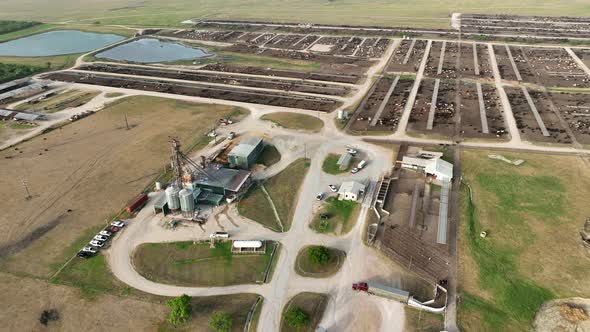 Farm buildings at large cattle feedlot for beef production. Aerial orbit.