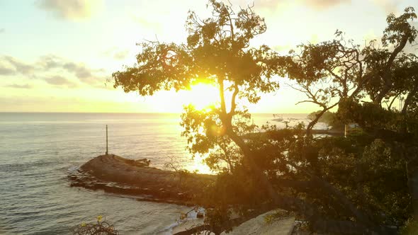 Aerial view of Dawn over the ocean with a beautiful tree and a pier