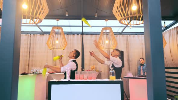 Bartenders Juggling Bottles of Alcohol During a Bartender Show