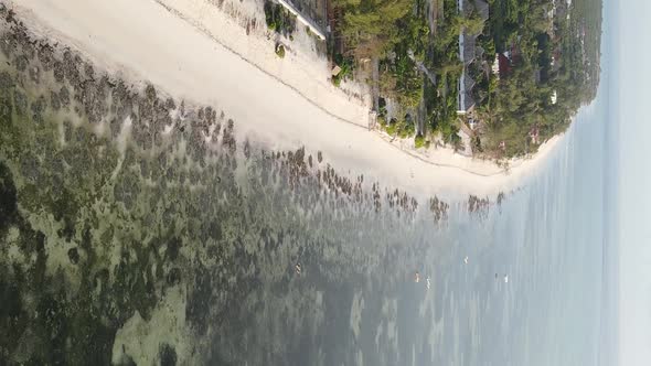 Zanzibar Tanzania  Vertical Video of the Ocean Near the Coast Slow Motion