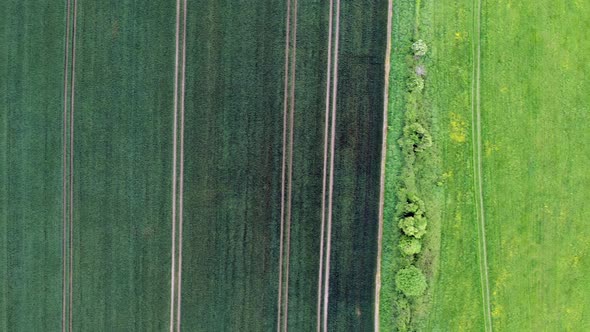 Aerial View of Farm Fields in Ireland