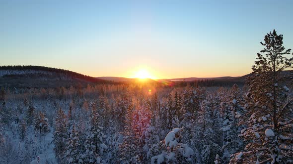 Aerial view of a forest in winter in Overtornea, Sweden.